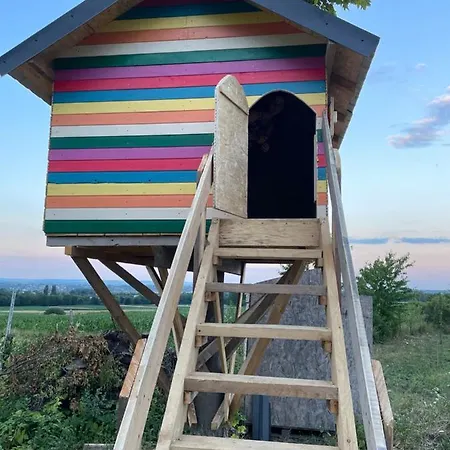 Casuta De Pe Dealul Cojocului Cabană *