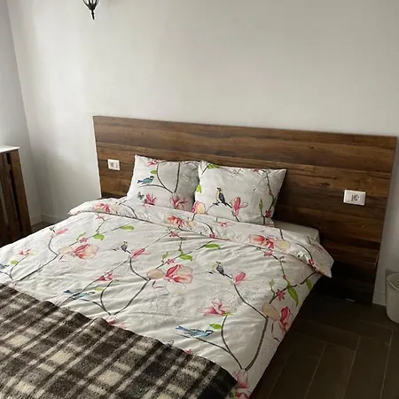 Casuta De Pe Dealul Cojocului Runcu (Suceava)